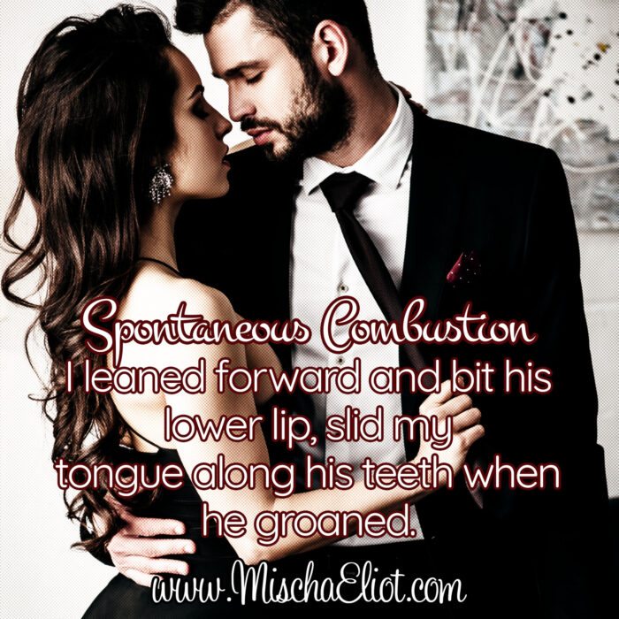 I leaned forward and bit his lower lip, slid my tongue along his teeth when he groaned.